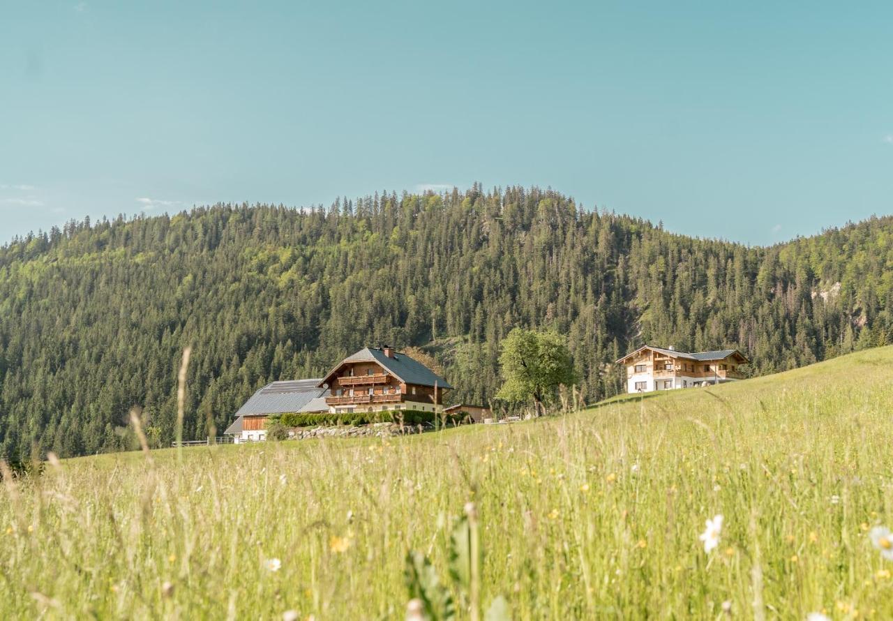 Bio Bauernhof Oberhinterberg Appartement Annaberg im Lammertal Εξωτερικό φωτογραφία